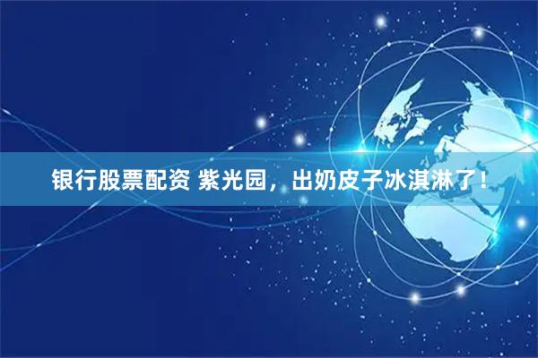 银行股票配资 紫光园，出奶皮子冰淇淋了！